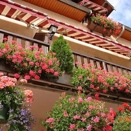 Hotel De La Poste 3*